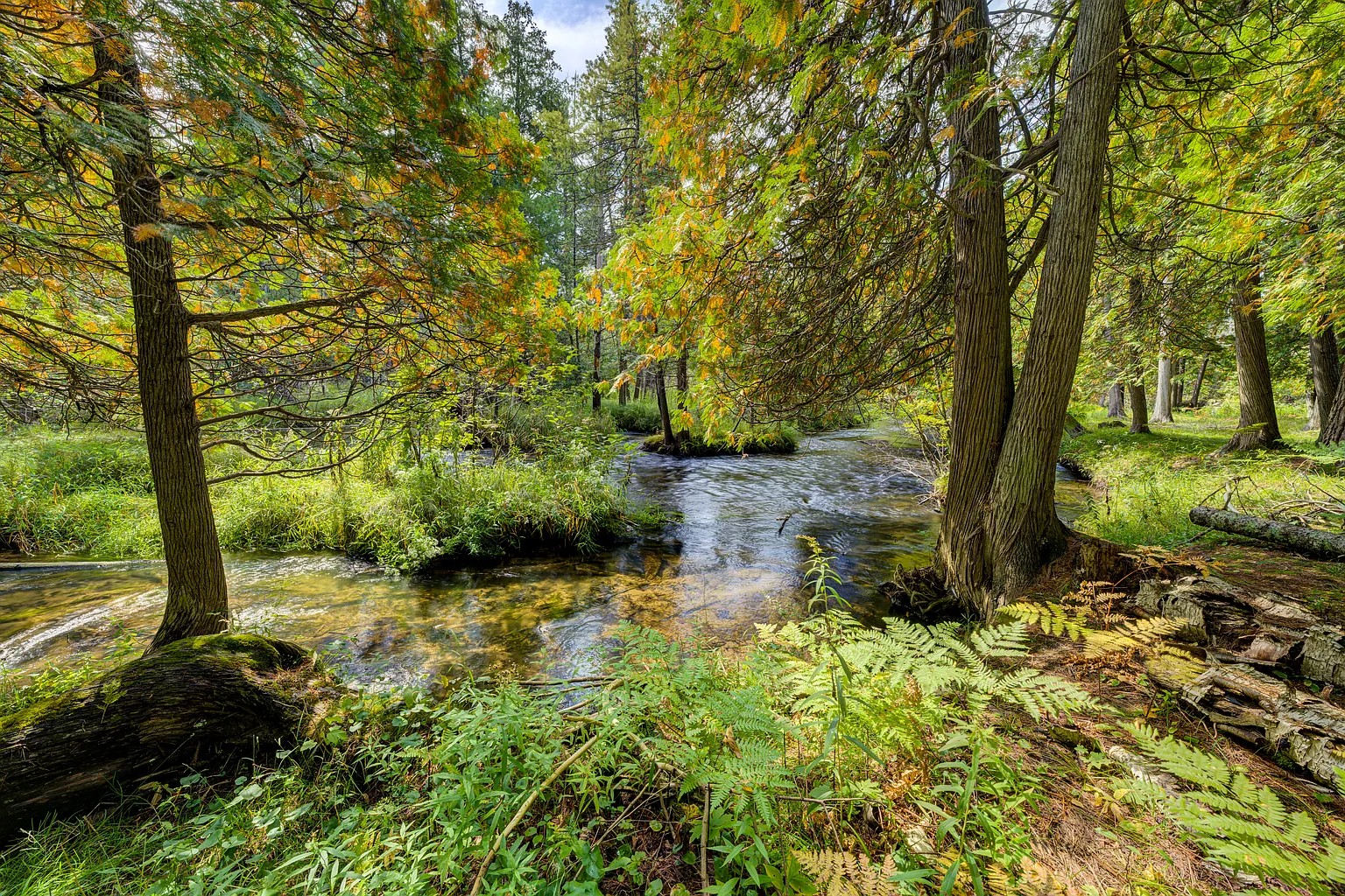 Riverfront lodge on the Boardman River in Williamsburg Michigan